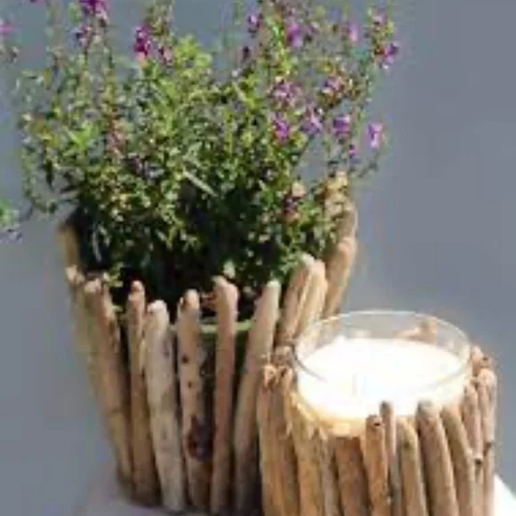 Oregon Coast Driftwood Bundle of 50 Pieces (4 Inches to 6 Inches) - Picture 8 of 14